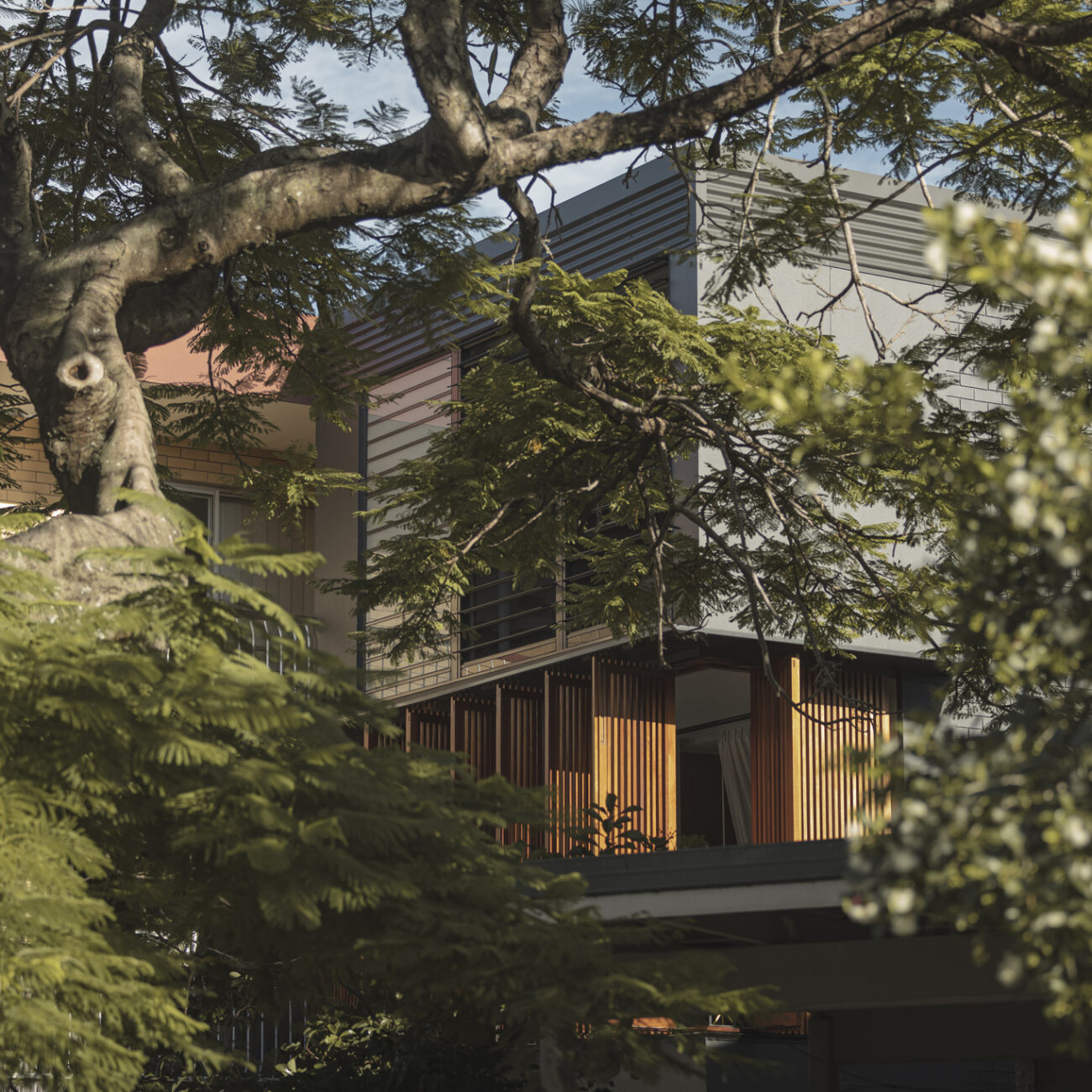 Houses Shortlist - A Verdent Vow